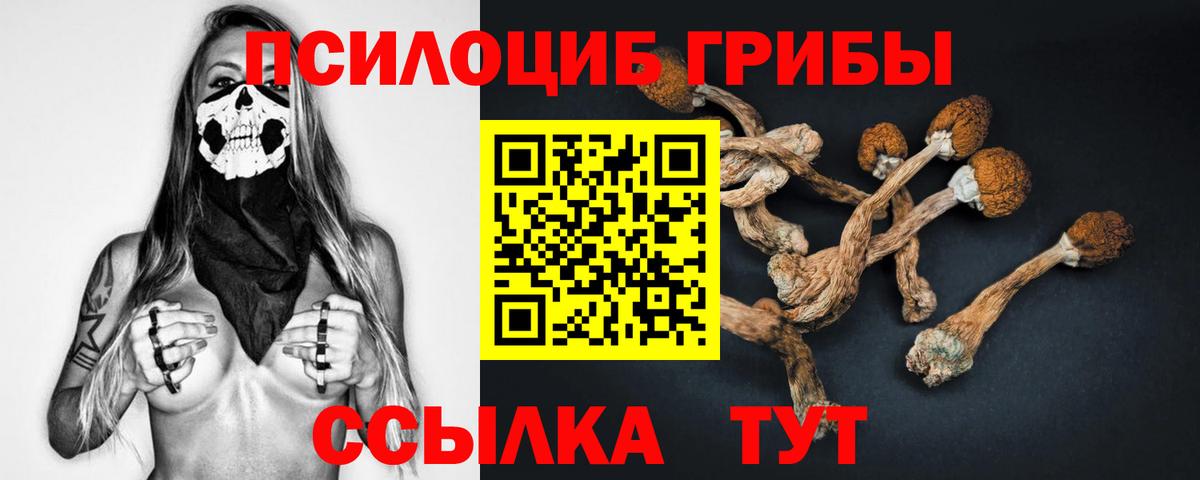 Галлюциногенные грибы прущие грибы Удомля